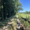 Images de profil de Sarah - Blooming Pets - Petsitting et garde d'animaux à domicile