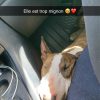 Images de profil de Sasha - Blooming Pets - Petsitting et garde d'animaux à domicile