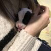 Images de profil de Sélenne - Blooming Pets - Petsitting et garde d'animaux à domicile