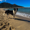 Images de profil de Shania - Blooming Pets - Petsitting et garde d'animaux à domicile