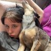 Images de profil de Sharlyn - Blooming Pets - Petsitting et garde d'animaux à domicile
