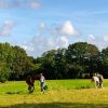 Images de profil de Sol - Blooming Pets - Petsitting et garde d'animaux à domicile