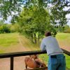 Images de profil de Sol - Blooming Pets - Petsitting et garde d'animaux à domicile