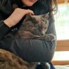 Images de profil de Sophia - Blooming Pets - Petsitting et garde d'animaux à domicile