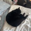 Images de profil de Sophie - Blooming Pets - Petsitting et garde d'animaux à domicile