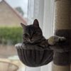 Images de profil de Sophie - Blooming Pets - Petsitting et garde d'animaux à domicile