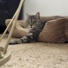 Images de profil de Sophie - Blooming Pets - Petsitting et garde d'animaux à domicile