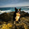 Images de profil de Stéphanie - Blooming Pets - Petsitting et garde d'animaux à domicile