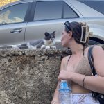 Image de profil de Stella - Blooming Pets - Petsitting et garde d'animaux à domicile