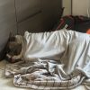 Images de profil de Stephanie - Blooming Pets - Petsitting et garde d'animaux à domicile
