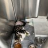 Images de profil de suzanne - Blooming Pets - Petsitting et garde d'animaux à domicile