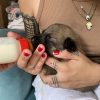 Images de profil de Tabatha - Blooming Pets - Petsitting et garde d'animaux à domicile