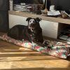 Images de profil de Tahina - Blooming Pets - Petsitting et garde d'animaux à domicile