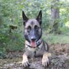 Images de profil de Tessa - Blooming Pets - Petsitting et garde d'animaux à domicile