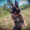 Images de profil de Tessa - Blooming Pets - Petsitting et garde d'animaux à domicile
