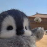 Image de profil de Théo - Blooming Pets - Petsitting et garde d'animaux à domicile