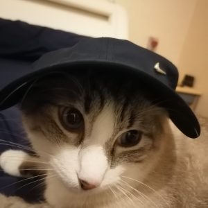 Images de profil de Theo - Blooming Pets - Petsitting et garde d'animaux à domicile