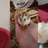 Images de profil de Margot - Blooming Pets - Petsitting et garde d'animaux à domicile