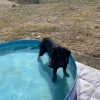 Images de profil de Valentine - Blooming Pets - Petsitting et garde d'animaux à domicile