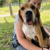 Images de profil de Valentine - Blooming Pets - Petsitting et garde d'animaux à domicile