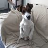 Images de profil de Valérie - Blooming Pets - Petsitting et garde d'animaux à domicile