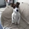 Images de profil de Valérie - Blooming Pets - Petsitting et garde d'animaux à domicile