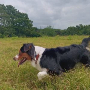 Image de profil de Estelle - Blooming Pets - Petsitting et garde d'animaux à domicile