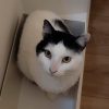 Images de profil de Victorine - Blooming Pets - Petsitting et garde d'animaux à domicile
