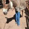 Images de profil de Vinciane - Blooming Pets - Petsitting et garde d'animaux à domicile