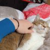 Images de profil de Virgile - Blooming Pets - Petsitting et garde d'animaux à domicile