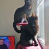 Images de profil de Wanda - Blooming Pets - Petsitting et garde d'animaux à domicile