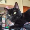 Images de profil de Wendy - Blooming Pets - Petsitting et garde d'animaux à domicile