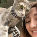 Kiara Mon Chat  Croisé Femelle - Garde d'animaux à domicile