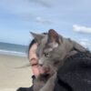 Images de profil de Margaux - Blooming Pets - Petsitting et garde d'animaux à domicile