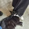 Images de profil de Alexiane - Blooming Pets - Petsitting et garde d'animaux à domicile