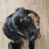 Images de profil de Alexiane - Blooming Pets - Petsitting et garde d'animaux à domicile