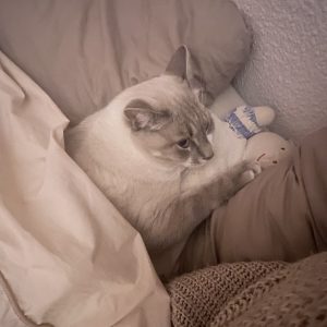 Simba