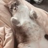 Images de profil de Alexia - Blooming Pets - Petsitting et garde d'animaux à domicile