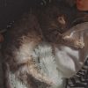 Images de profil de Alex - Blooming Pets - Petsitting et garde d'animaux à domicile