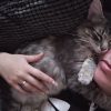 Images de profil de Alex - Blooming Pets - Petsitting et garde d'animaux à domicile