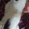 Images de profil de Alex - Blooming Pets - Petsitting et garde d'animaux à domicile