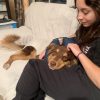 Images de profil de Alicia - Blooming Pets - Petsitting et garde d'animaux à domicile