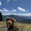 Images de profil de Alicia - Blooming Pets - Petsitting et garde d'animaux à domicile