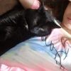 Images de profil de Alicia - Blooming Pets - Petsitting et garde d'animaux à domicile
