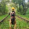 Images de profil de allan - Blooming Pets - Petsitting et garde d'animaux à domicile