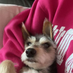 Images de profil de amandine - Blooming Pets - Petsitting et garde d'animaux à domicile