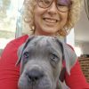 Images de profil de Ambrine - Blooming Pets - Petsitting et garde d'animaux à domicile