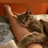 Images de profil de April - Blooming Pets - Petsitting et garde d'animaux à domicile