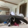 Images de profil de Angelina - Blooming Pets - Petsitting et garde d'animaux à domicile