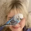 Images de profil de Annabelle - Blooming Pets - Petsitting et garde d'animaux à domicile